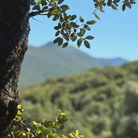 Sous Les Oliviers 山林小屋 *