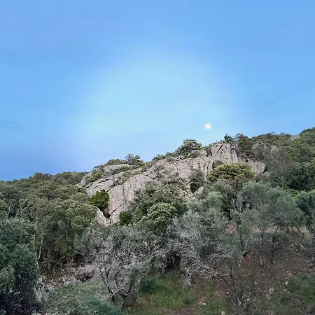 Sous Les Oliviers 山林小屋 普罗普里亚诺