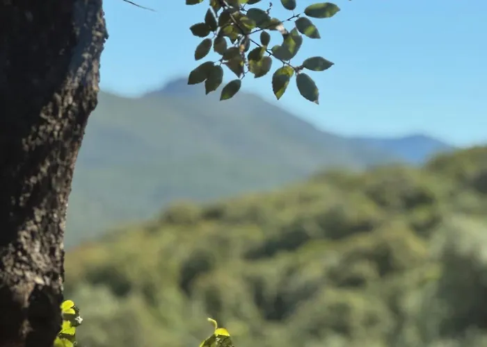 Sous Les Oliviers 山林小屋 *