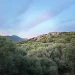 Sous Les Oliviers * Propriano (Corsica)