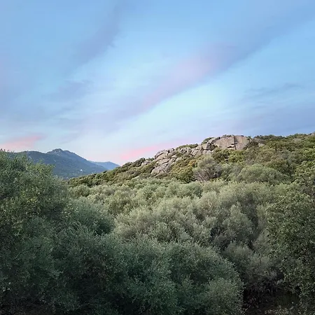 Sous Les Oliviers * Propriano (Corsica)