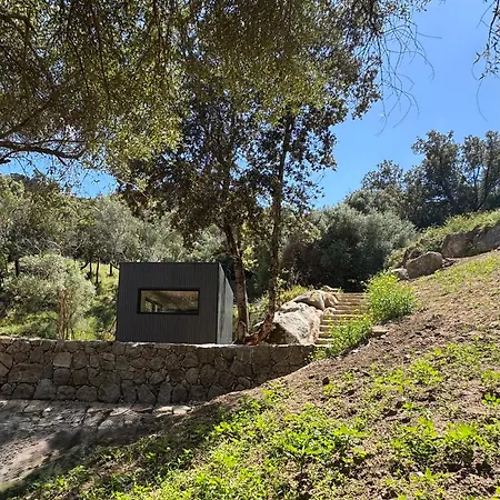 Sous Les Oliviers * Propriano (Corsica)