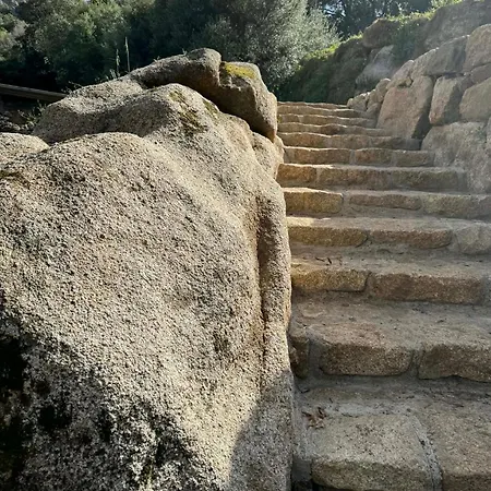 Hytte Sous Les Oliviers Propriano (Corsica)