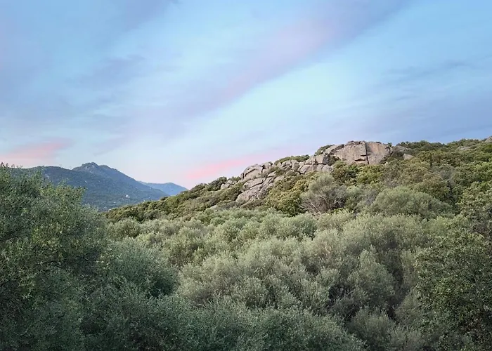 Sous Les Oliviers * Propriano (Corsica)