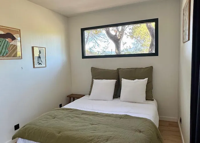 Sous Les Oliviers *
